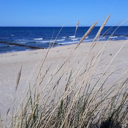 Feriehus Hanne-hus Ostseebad Kühlungsborn
